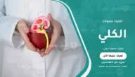 تفتيت حصوات الكلي: دليل شامل للأعراض والعلاج وأنواع الجلسات