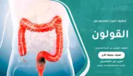 تنظيف القولون من البراز المتحجر: طرق فعّالة للتخلص السريع بأمان تام