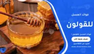 فوائد العسل للقولون: دوره في تهدئة التقلصات وتحسين الهضم