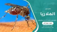 ماهو مرض الملاريا؟ الأسباب والأعراض وطرق الوقاية والعلاج