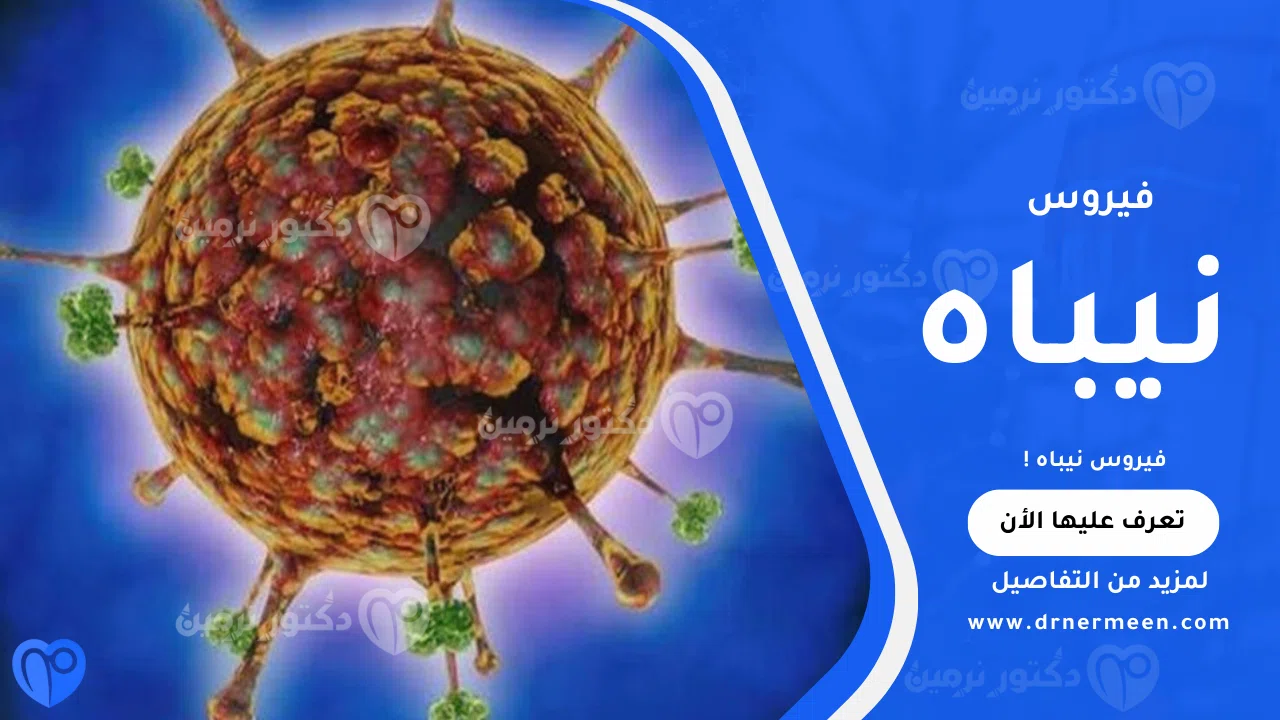 فيروس نيباه وأعراضه وتأثيره على الجهاز العصبي والجسم