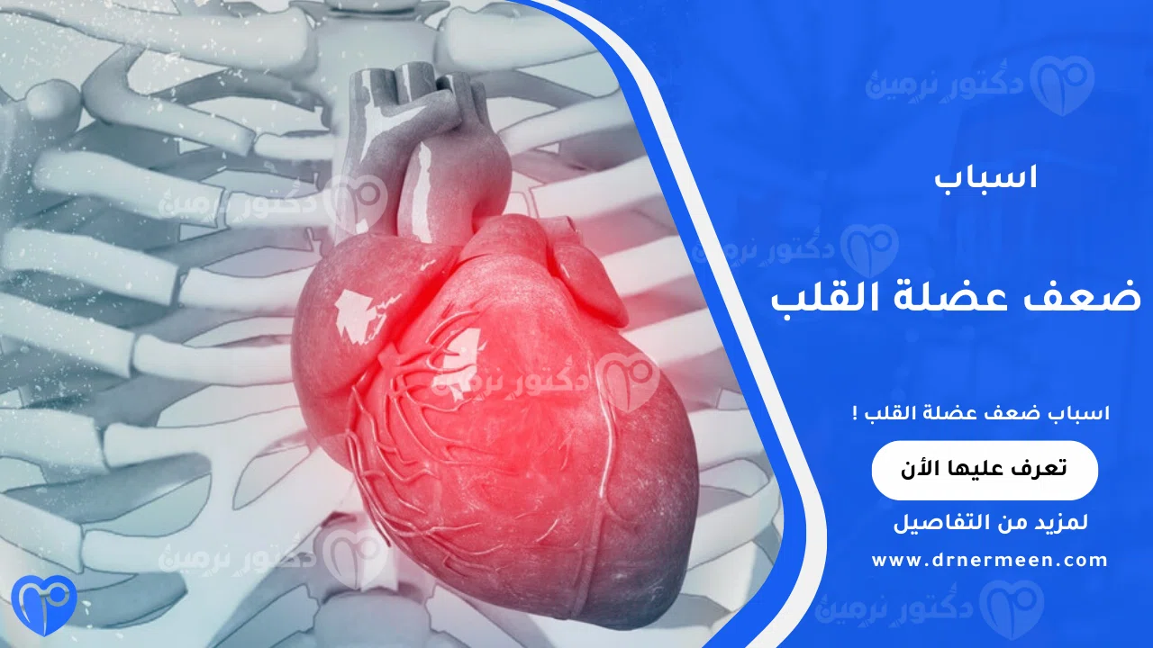 اسباب ضعف عضلة القلب الشائعة وتأثيرها على كفاءة ضخ الدم