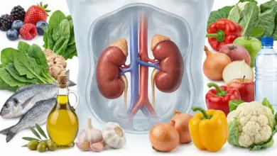 أفضل الأطعمة لصحة الكلى وأهم العناصر الغذائية التي تدعم وظائفها