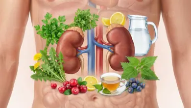 طرق طبيعية لتنظيف الكلى وأفضل الوسائل للحفاظ على وظائفها